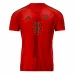 FC Bayern Mens Home Soccer Jersey 2024