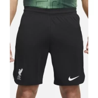 Liverpool FC Men's Away Soccer Shorts 2023-24