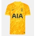 Tottenham Hotspur Mens Goalkeeper Soccer Jersey 2024