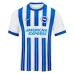 Brighton Hove Albion Men's Home Soccer Jersey 2024