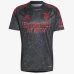 Benfica Mens Away Soccer Jersey 2024-25