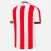 Stoke City Men's Home Soccer Jersey 2024