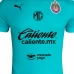 Chivas Mens Goalkeeper Soccer Jersey 2024-25