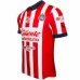 Chivas Mens Home Soccer Jersey 2024-25