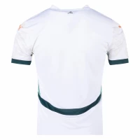 Ivory Coast Mens Away Jersey 2024-25