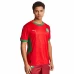 Morocco Mens Home Soccer Jersey 2025-26