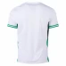 Nigeria Mens Home Soccer Jersey 2024