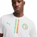 Senegal Mens Home Authentic Jersey 2025-26