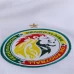 Senegal Mens Home Jersey 2025-26