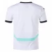 Austria Mens Away Soccer Jersey 2024