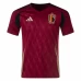 Belgium Mens Home Soccer Jersey 2024