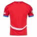 Czechia Mens Home Euro Soccer Jersey 2024