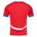 Czechia Mens Home Soccer Jersey 2024