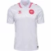 Denmark Mens Away Soccer Jersey 2024