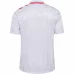 Denmark Mens Away Soccer Jersey 2024