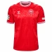 Denmark Mens Home Euro Soccer Jersey 2024