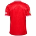 Denmark Mens Home Euro Soccer Jersey 2024