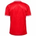 Denmark Mens Home Soccer Jersey 2024