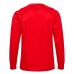 Denmark Mens Home Long Sleeve Soccer Jersey 2024