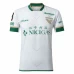 Tokyo Verdy Mens Away Soccer Jersey 2024 