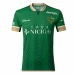 Tokyo Verdy Mens Home Soccer Jersey 2024 