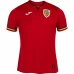 Romania Mens Away Soccer Jersey 2024