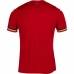 Romania Mens Away Soccer Jersey 2024