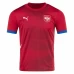 Serbia Mens Home Soccer Jersey 2024