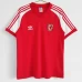 Wales Home Retro Soccer Jersey 1982 