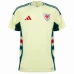 Wales Mens Away Soccer Jersey 2024