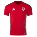 Wales Mens Home Soccer Jersey 2024