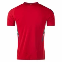 Wales Mens Home Soccer Jersey 2024